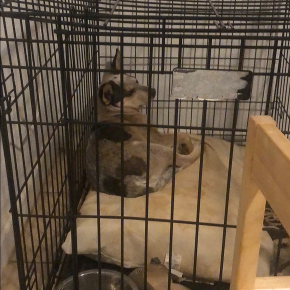 Meet your Posher, Jose - Picture 1 of 1